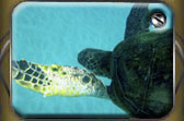 underwater production