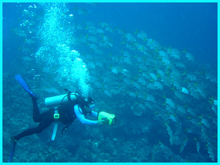 Underwater Filiming